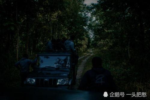 桥洞的诅咒,揭开神秘传说背后的惊悚真相