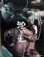 蛇之道,揭秘神秘生物的生存智慧与哲学启示