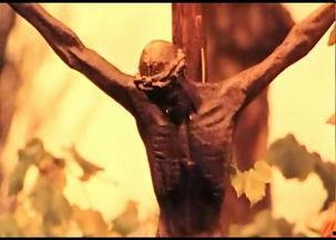 迷失禁果,探寻人类欲望与禁忌的神秘之旅