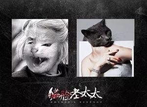 猫脸老太太,神秘传说背后的神秘面纱