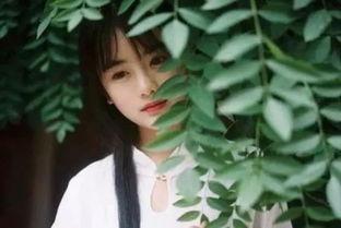 重回那夜，校花你听我狡辩,校花面前的狡辩与真相